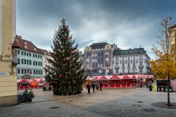 Guide to the Christmas Market