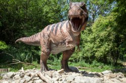 Children-friendly Bratislava Guide