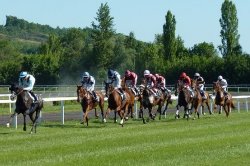 Horse Betting in Bratislava